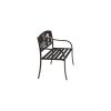 2 Person Texas Star Patriotic USA Flag Outdoor Metal Garden Bench in Bronze