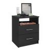 Modern 2-Drawer Nightstand End Table with Open Shelf in Wood Finish