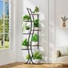 Tall Modern 6-Shelf Indoor Plant Stand Shelving Unit