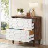 Modern Wood 2 Drawer Filing Cabinet Printer Stand