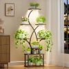 ModernTall Indoor Plant Stand Display Shelf with Grow Lights