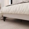 White Velvet Upholstered Platform Bed Frame with Wingback Headboard