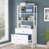 Home Office Lockable 2 Drawer Filing Cabinet Bookshelf in Wood Finish