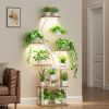 Indoor Plant Stand with Metal Frame and Wood Finish Shelves