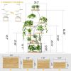 Indoor Plant Stand with Metal Frame and Wood Finish Shelves